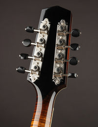 Northfield A5 Special Wide Nut Icelandic Brown