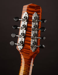 Northfield NFO-AT2 Maple Archtop Octave Mandolin Amber