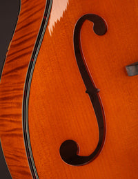 Northfield NFO-AT2 Maple Archtop Octave Mandolin Amber