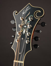 Northfield Big Mon Limited Engelmann Spruce