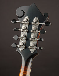 Northfield Big Mon Limited Engelmann Spruce