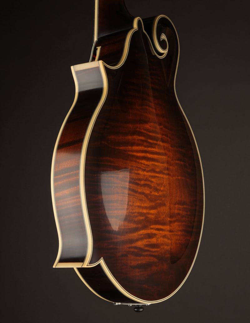 Northfield Big Mon Limited Engelmann Spruce