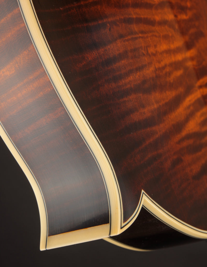 Northfield Big Mon Limited Engelmann Spruce