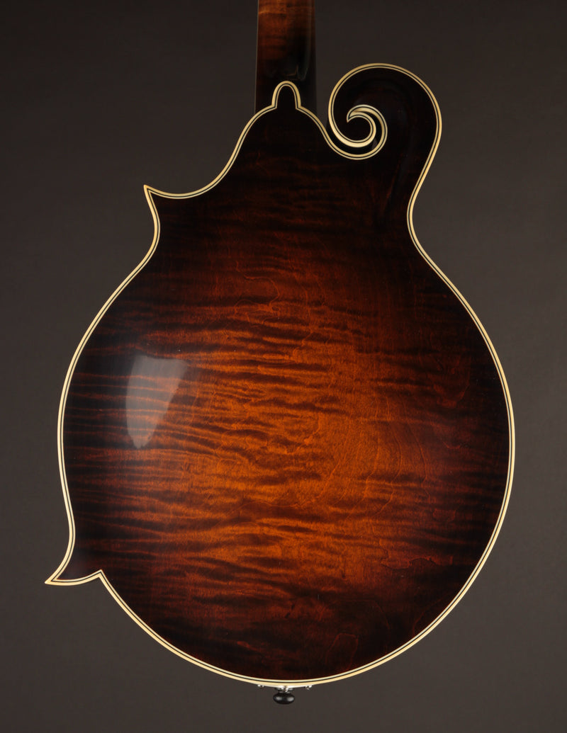 Northfield Big Mon Limited Engelmann Spruce