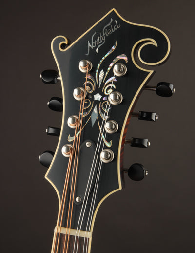 Northfield Big Mon Limited Engelmann Spruce