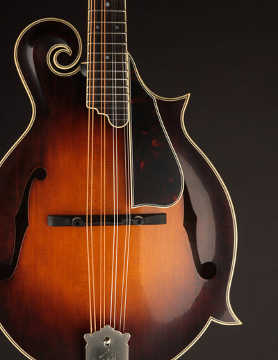 Northfield Big Mon Limited Engelmann Spruce