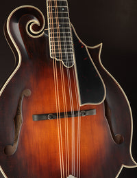 Northfield Big Mon Limited Engelmann Spruce