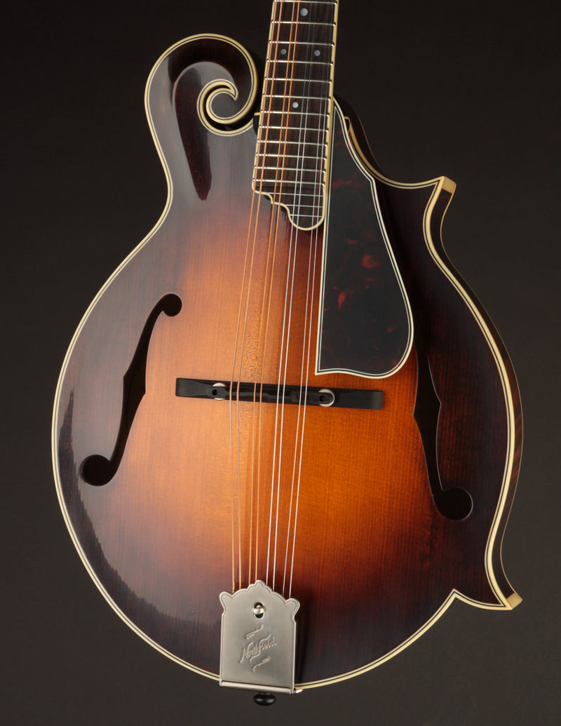 Northfield Big Mon Limited Engelmann Spruce