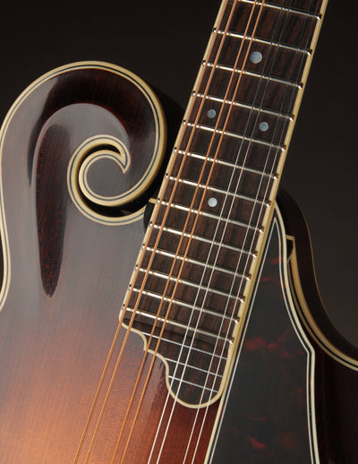 Northfield Big Mon Limited Engelmann Spruce