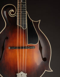 Northfield Big Mon Limited Engelmann Spruce