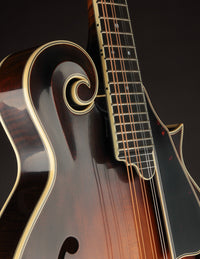Northfield Big Mon Limited Engelmann Spruce