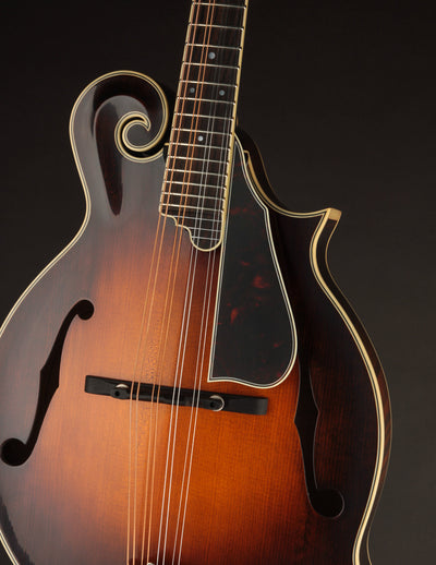 Northfield Big Mon Limited Engelmann Spruce