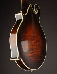 Northfield Big Mon Limited Engelmann Spruce