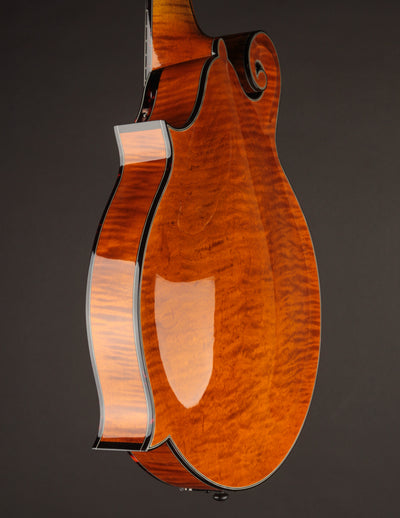 Northfield Artist Series F5 5-Bar Italian