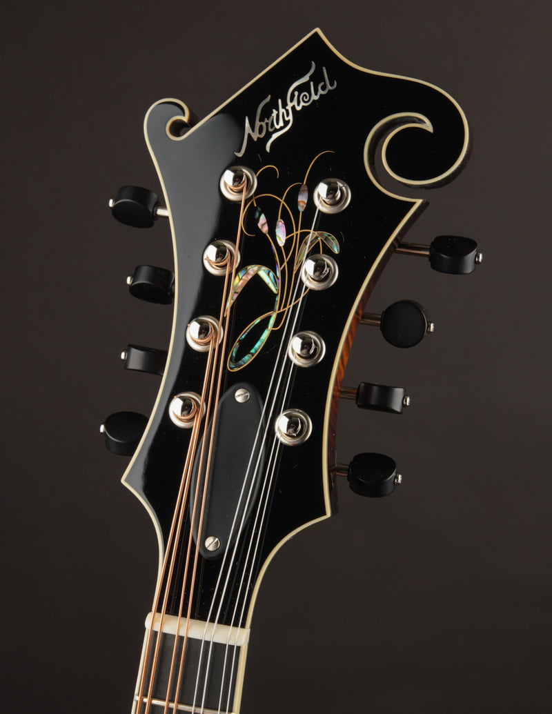 Northfield Artist Series F5 5-Bar Italian