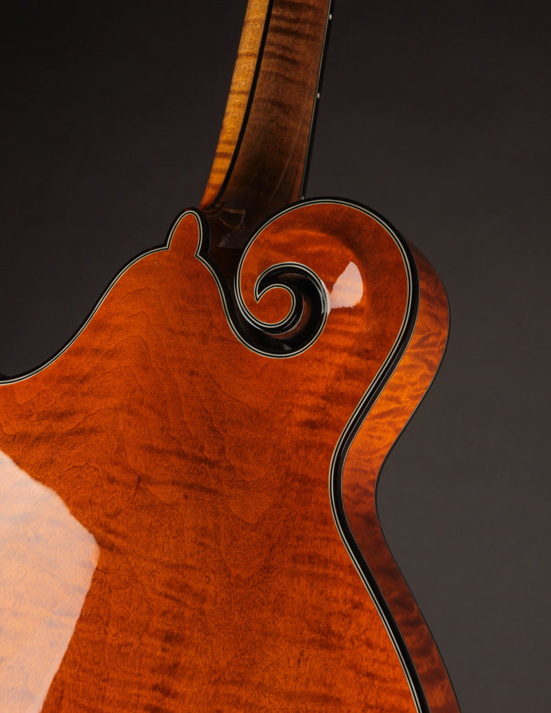Northfield Artist Series F5 5-Bar Italian