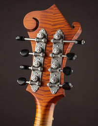 Northfield Artist Series F5 5-Bar Italian