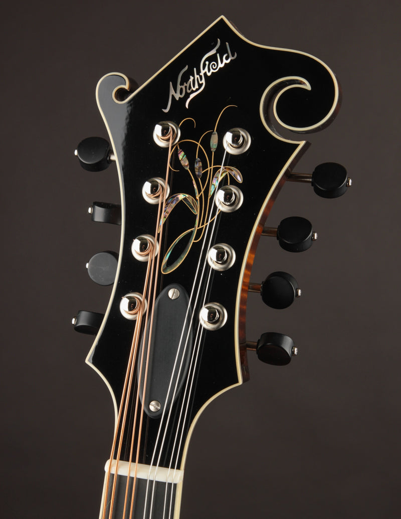 Northfield Artist Series F5 5-Bar Italian