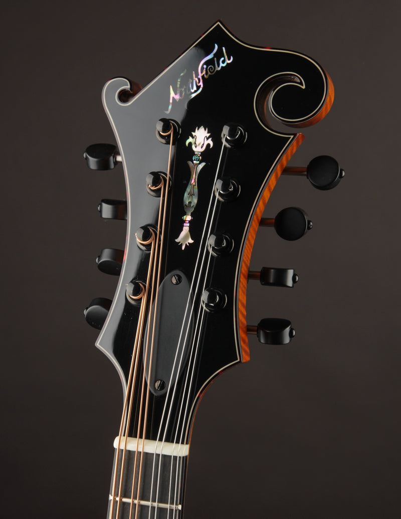 Northfield Artist Series F5 5-Bar Italian