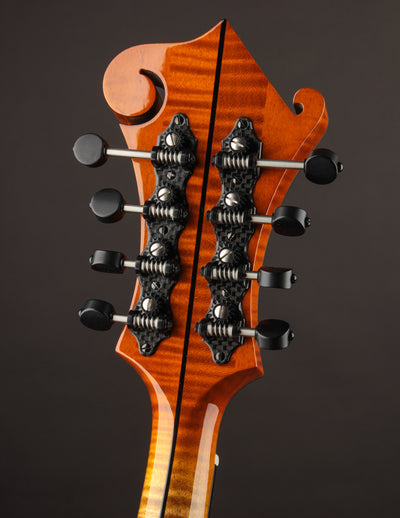 Northfield Artist Series F5 5-Bar Italian