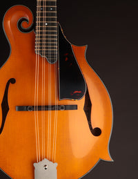 Northfield Artist Series F5 5-Bar Italian