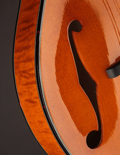 Northfield Artist Series F5 5-Bar Italian