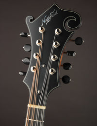 Northfield NF-F5S Sunburst