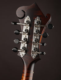 Northfield NF-F5S Sunburst