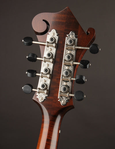 Northfield NF-F5S Sunburst