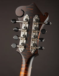 Northfield NF-F5S Sunburst