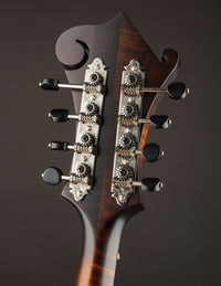 Northfield NF-F5S Sunburst