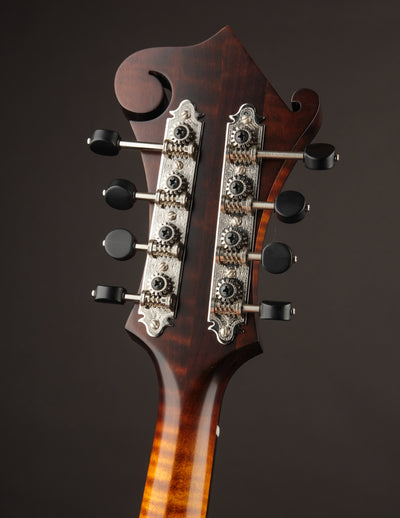 Northfield NF-F5S Sunburst