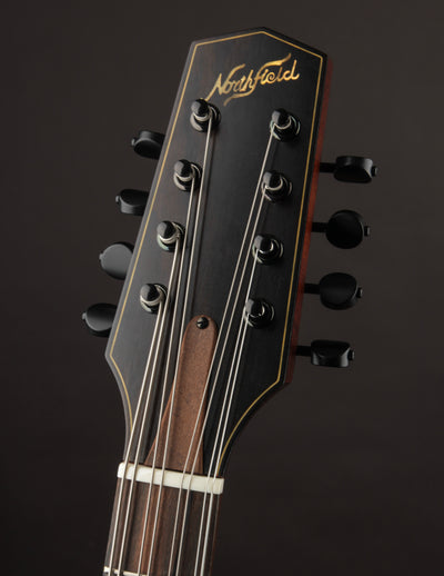 Northfield "EleOcto" Electric Octave Mandolin