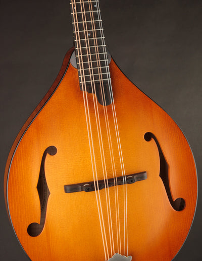 Northfield Wavelength Octave Mandolin