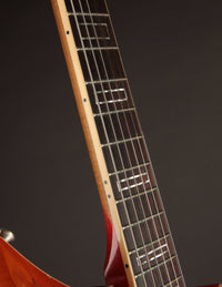 Novo Guitars Dealer LTD 2025 Chambered Serus P2 Faded Ice Tea Burst