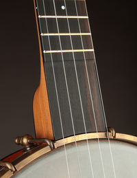 Ode Magician 11'' Cherry Neck