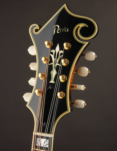Pava F5 Pro Supreme