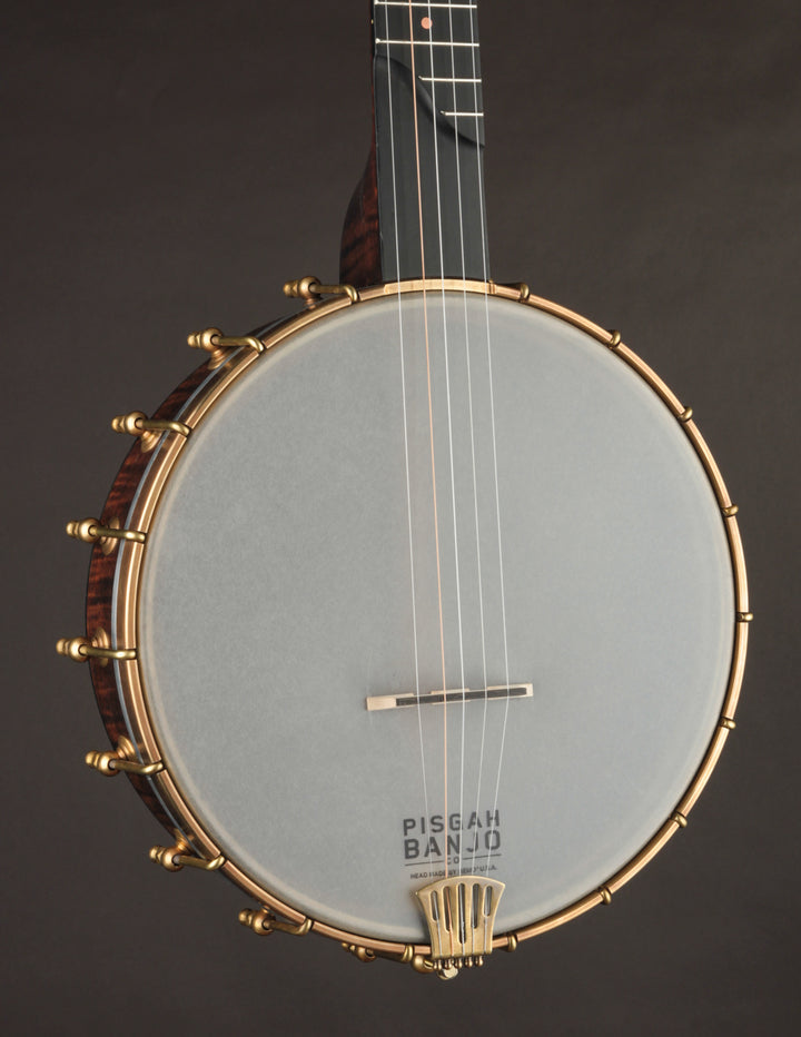 Vega little wonder banjo hotsell