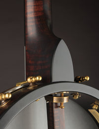Pisgah Curly Maple Wonder 11"