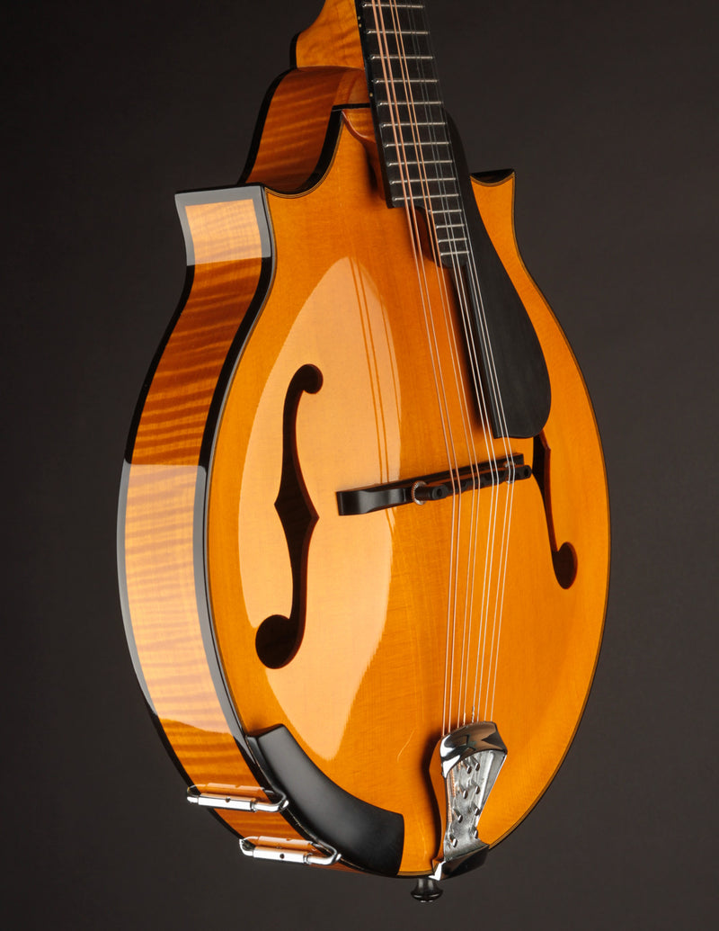Poe Two Point Engelmann - Honey Amber