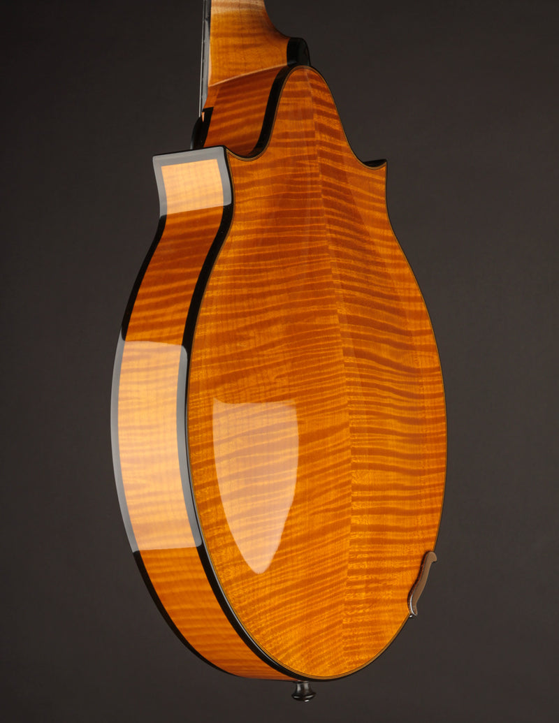 Poe Two Point Engelmann - Honey Amber