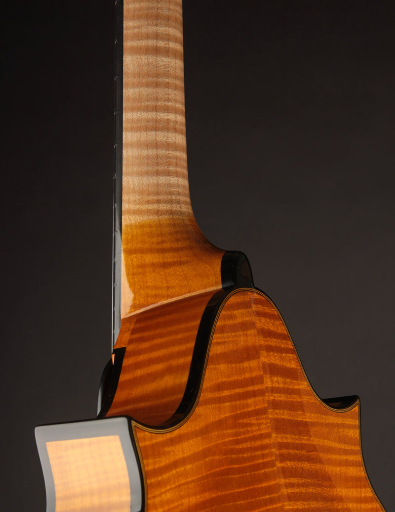 Poe Two Point Engelmann - Honey Amber