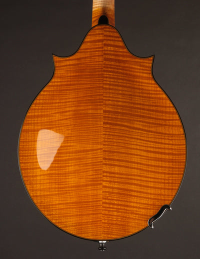 Poe Two Point Engelmann - Honey Amber
