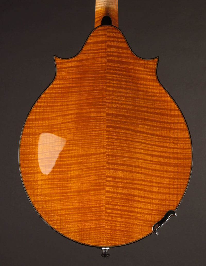 Poe Two Point Engelmann - Honey Amber