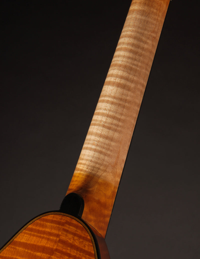 Poe Two Point Engelmann - Honey Amber