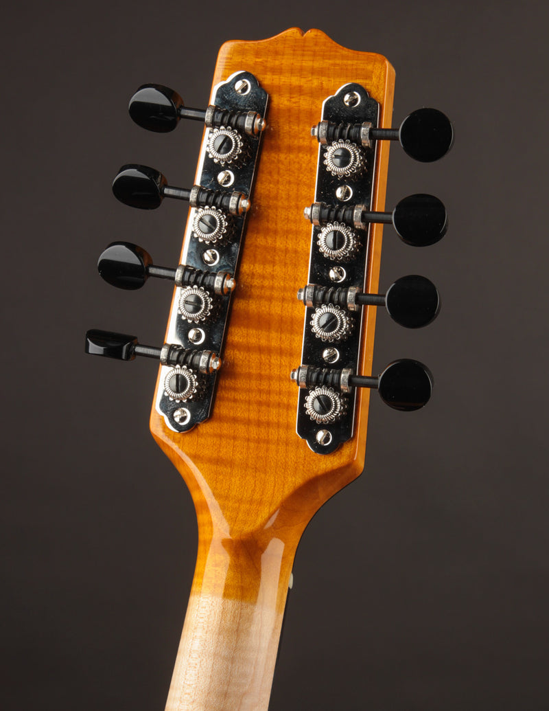 Poe Two Point Engelmann - Honey Amber