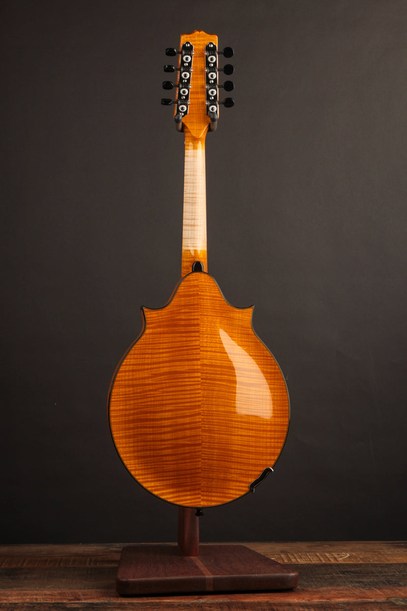 Poe Two Point Engelmann - Honey Amber
