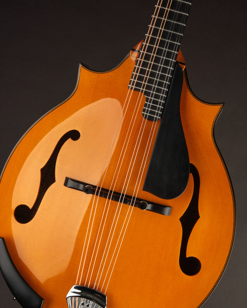 Poe Two Point Engelmann - Honey Amber