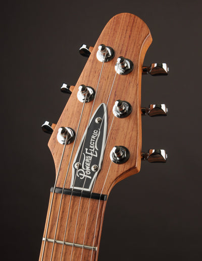 Powers Electric A-Type Select FF42 CamTail TME Spec/Light Pale Ale