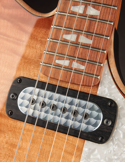 Powers Electric A-Type Select FF42 CamTail TME Spec/Light Pale Ale